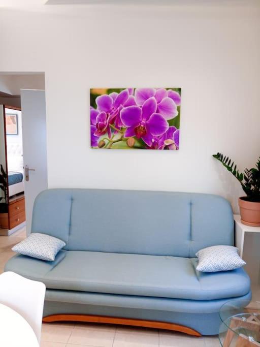 Orchid Apartments Фермі Номер фото